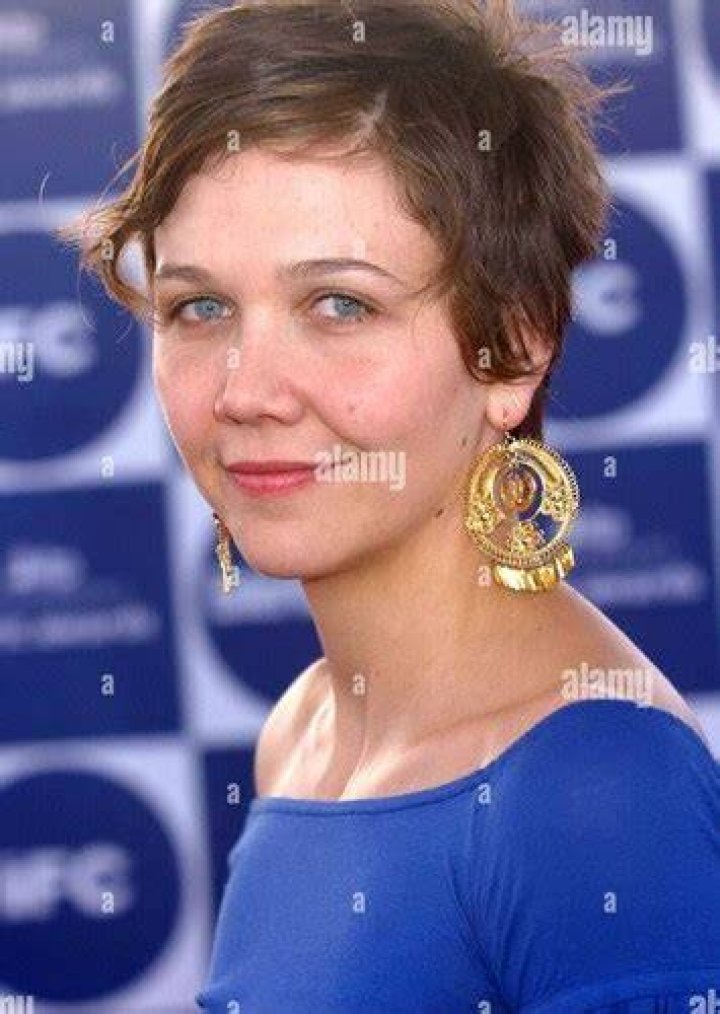 Maggie Gyllenhaal Fan Casting