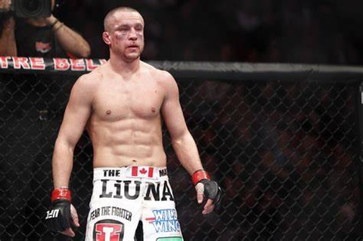 Mark Hominick UFC 154