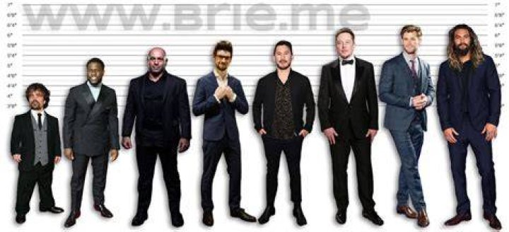 Markiplier Height Brie