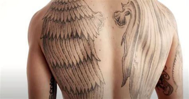 Max Holloway Tattoos: How Many Times Has the UFC Star Inked Himself? Everything
You Need to Know About Hawaiian UFC Star’s Tattoos Including ‘Angel and Demon
Wings’ Tattoo on His Back