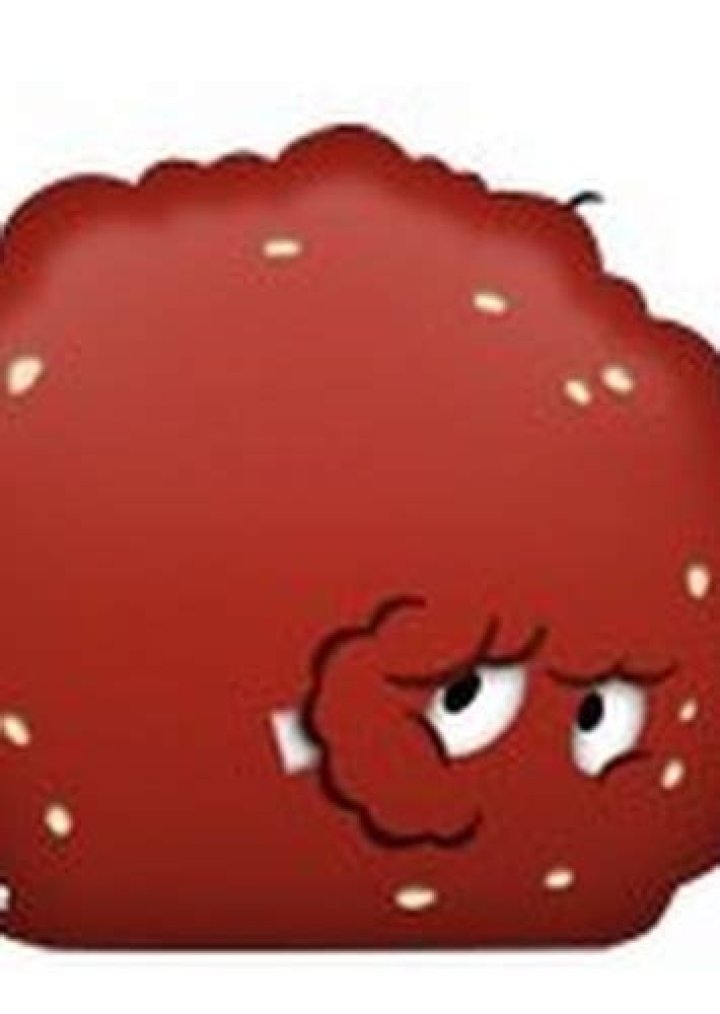Meatwad Fan Casting