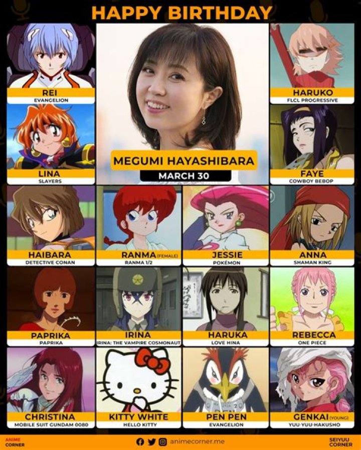 Megumi Hayashibara Fan Casting