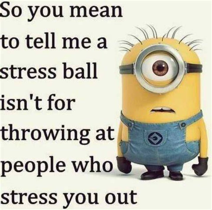 Minion Memes: The Ultimate Guide To Laughter And Fun