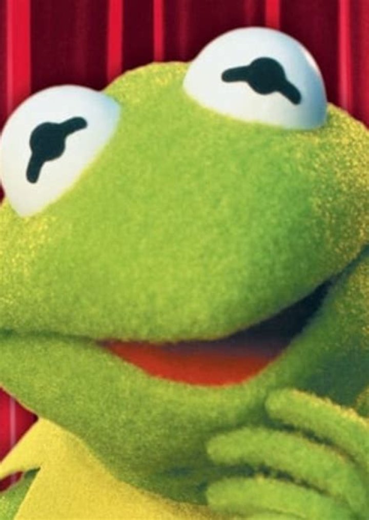Miss Poogy Fan Casting
