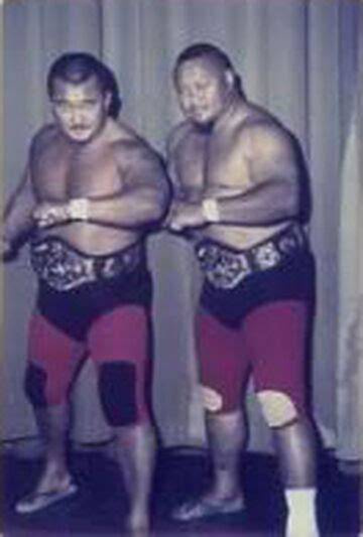 Mr. Fuji
