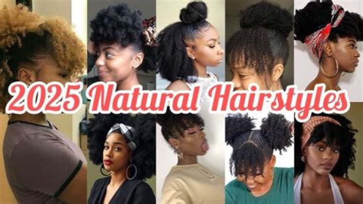 Natural Hairstyles 2021 15 Cute Natural Hairstyles for Black Women