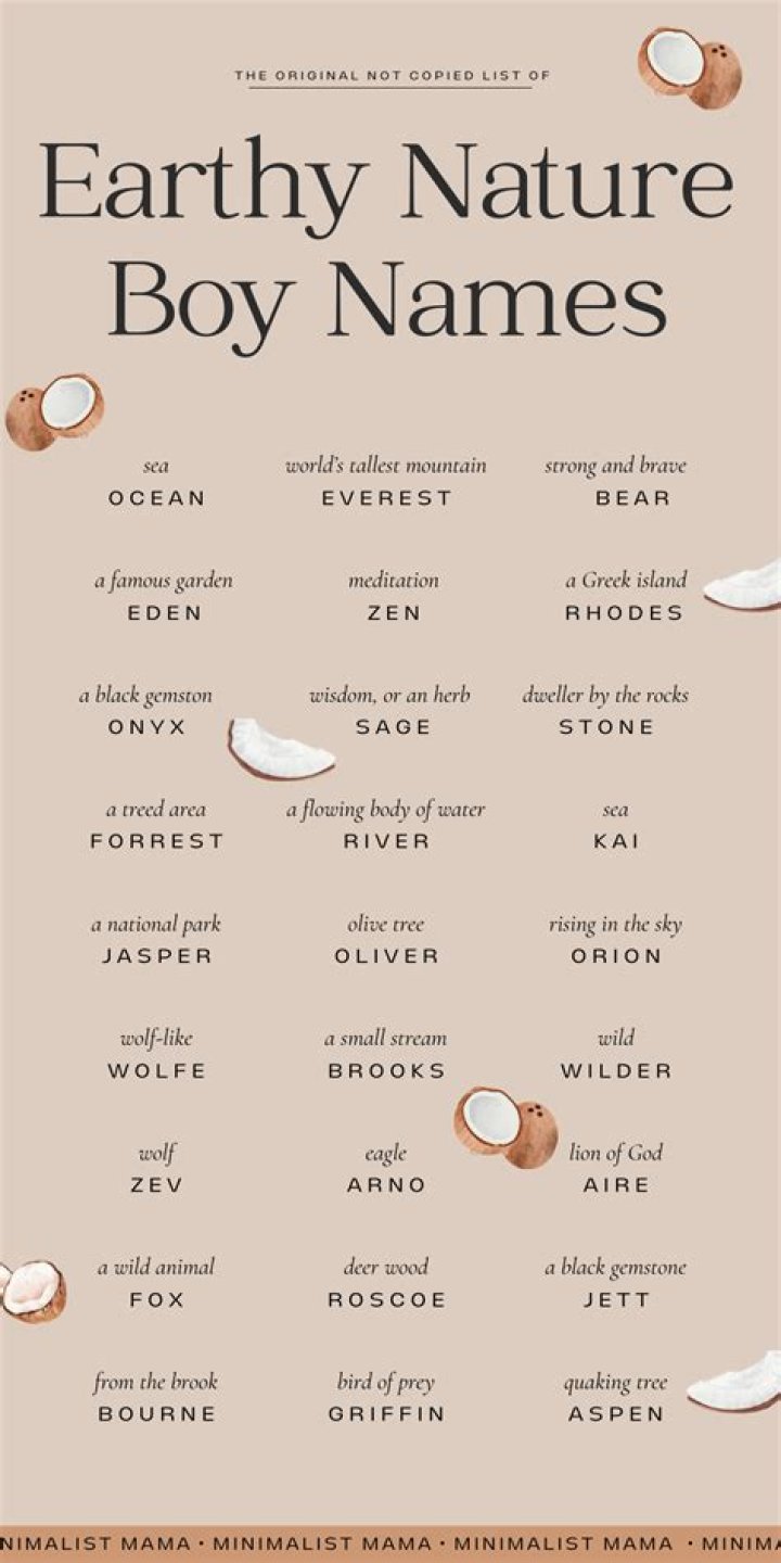 Nature Baby Names Studio DIY