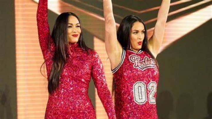 New Bella Twins Project In The Works At WWE