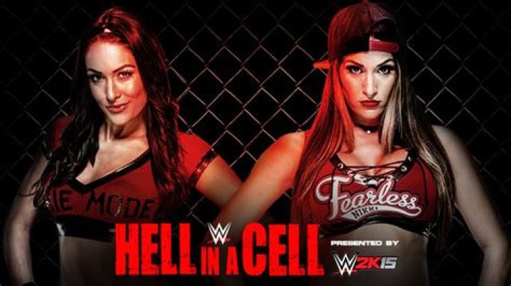 Nikki Bella vs. Brie Bella (2014)