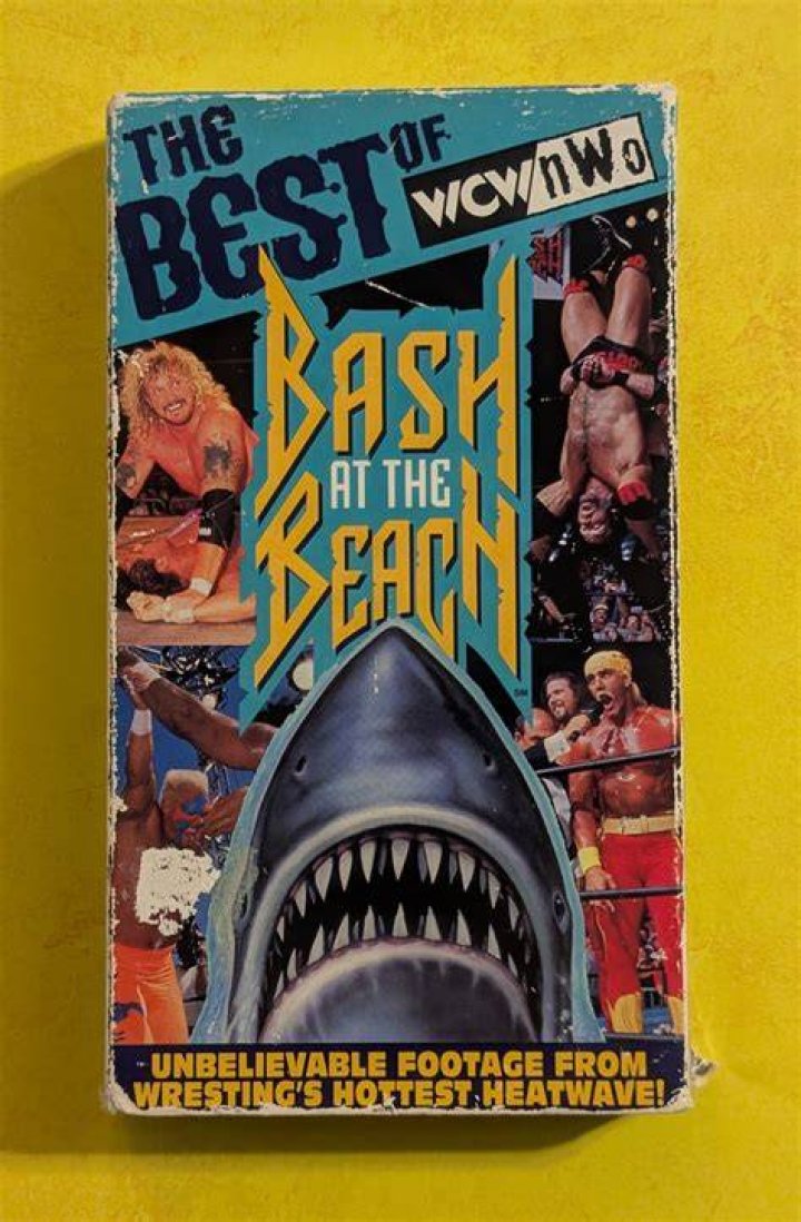 NWO Bash At The Beach 1996