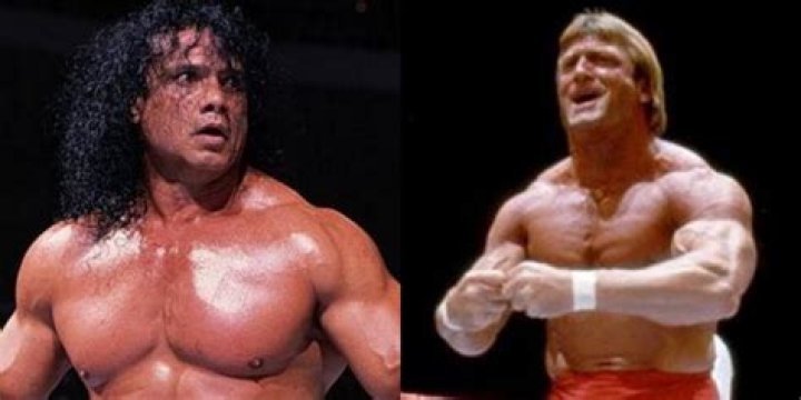 Orndorff Snuka