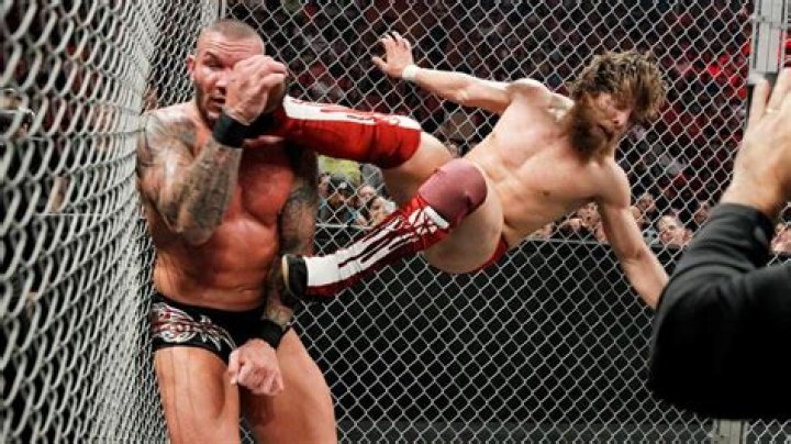Orton vs Bryan Hell in a Cell 2013