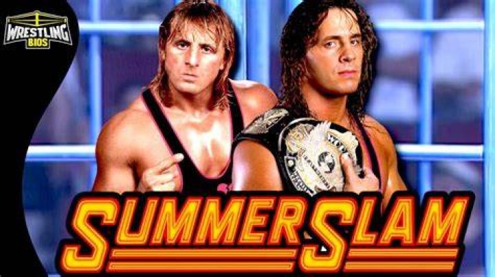 Owen Hart Vs Bret Hart