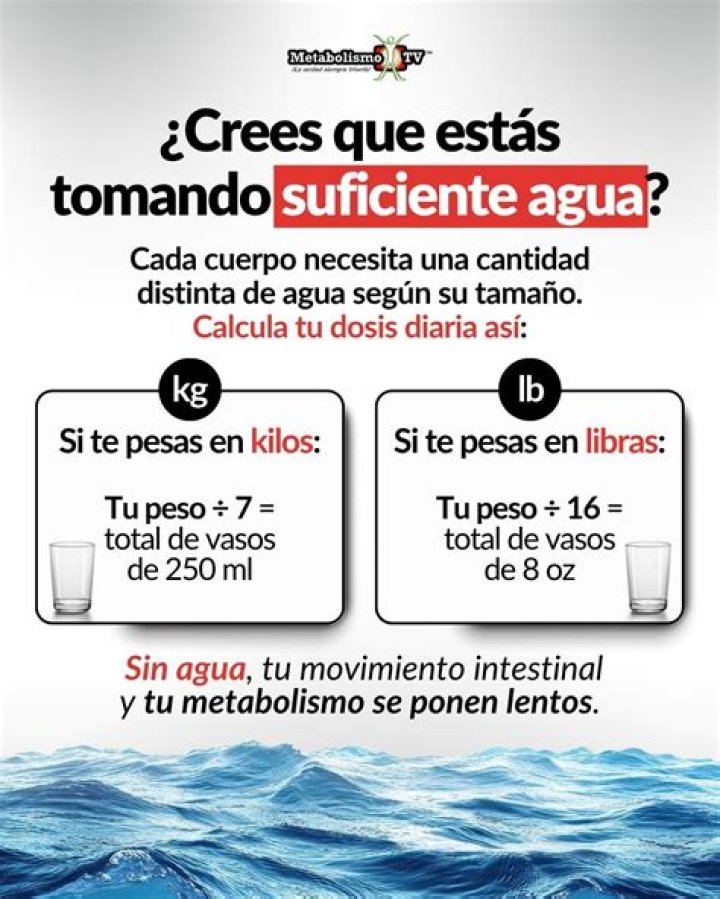 P&aacute;ginas Si quieres agua, toma conciencia