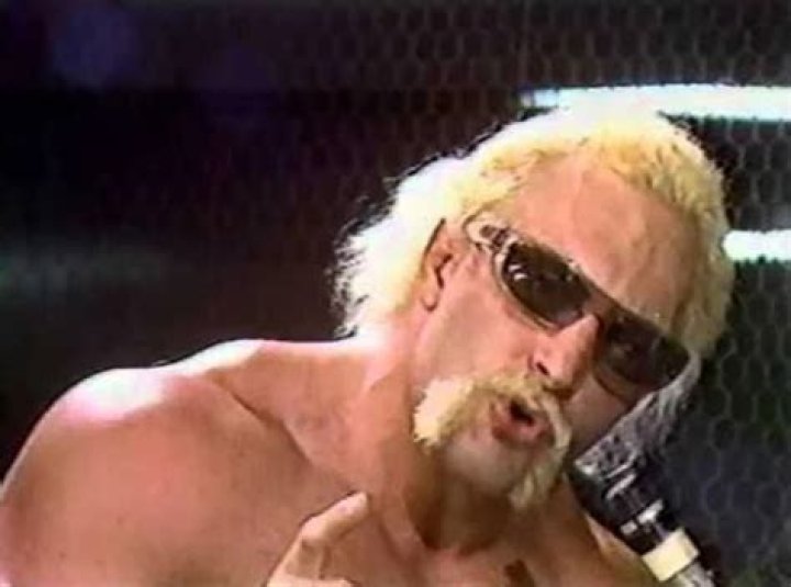 Paul Ellering cuts a promo