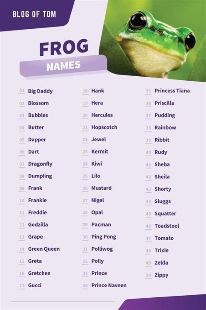 Pet Frog Name Generator (Cute, Funny, & Famous) Mr. Amphibian