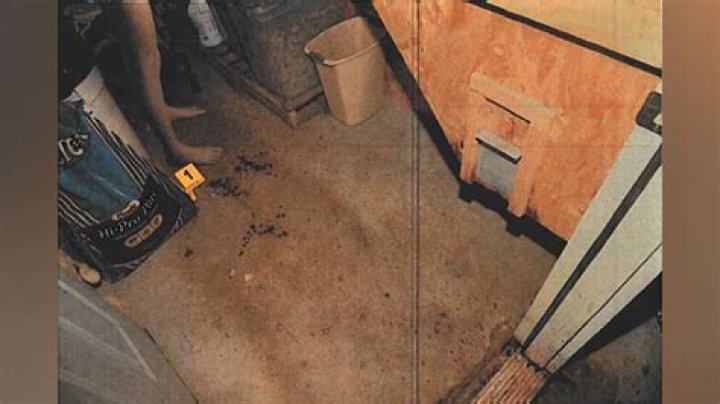 Photo Gallery See evidence photos from Alex Murdaugh's murder trial