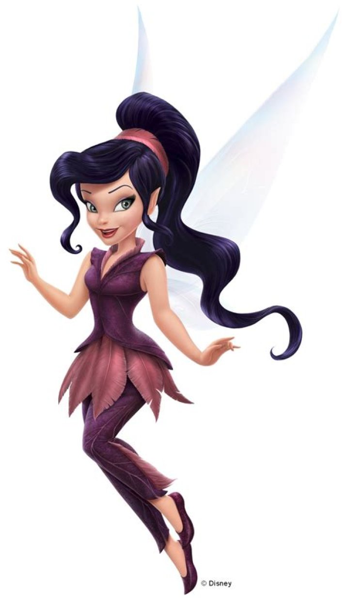 Picture of Vidia! Vidia from Tinkerbell Photo (31356472) Fanpop