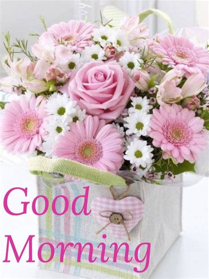 Pin by Vinayak Shetty on Good Morning Good morning my love, Good