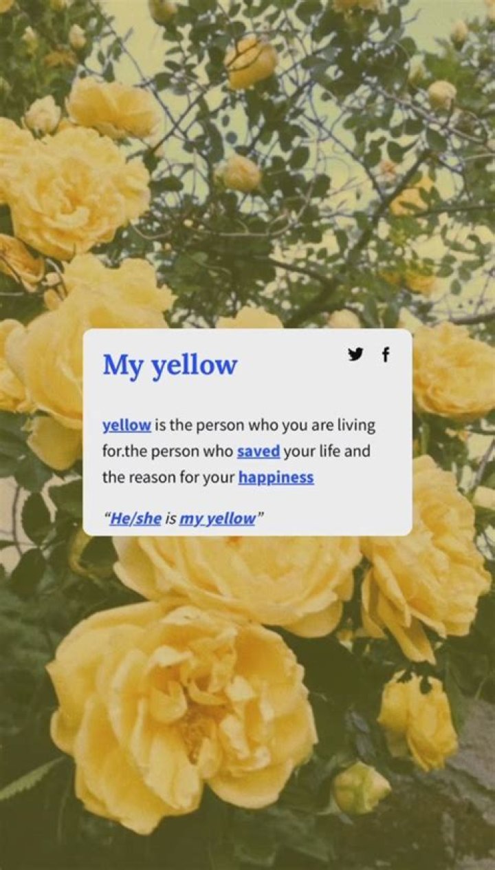 PinterestJareth P&eacute;rez ♡ Yellow words, Cute insta captions, Birthday
