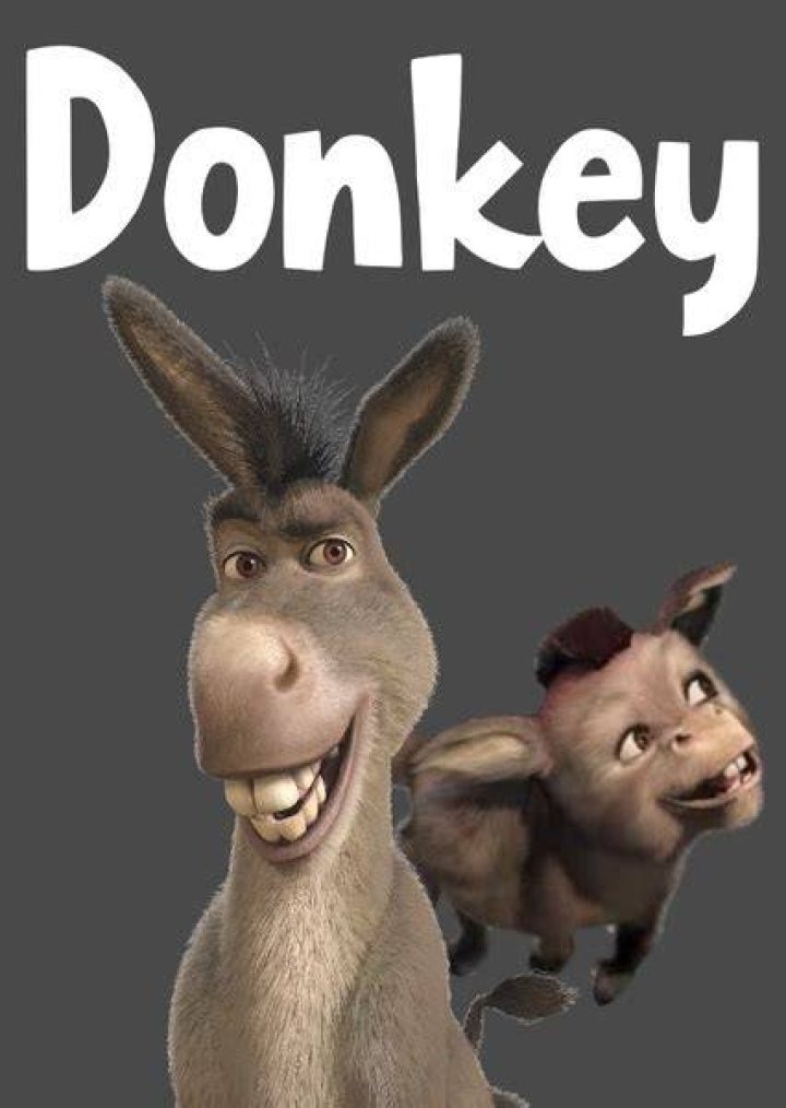 Ponkey Donkey Fan Casting for Disney Your Down To A Pair Of Jeans | myCast