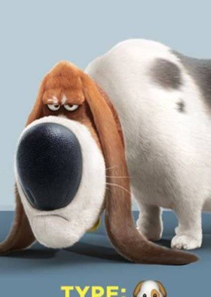Pops (The Secret Life of Pets) Photo on myCast