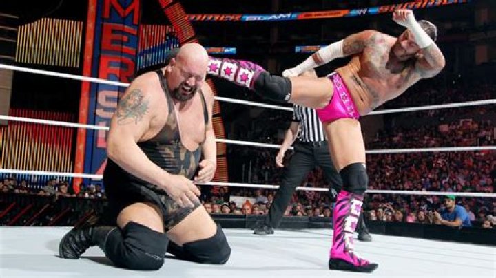Punk Vs. Big Show Night Of Champions