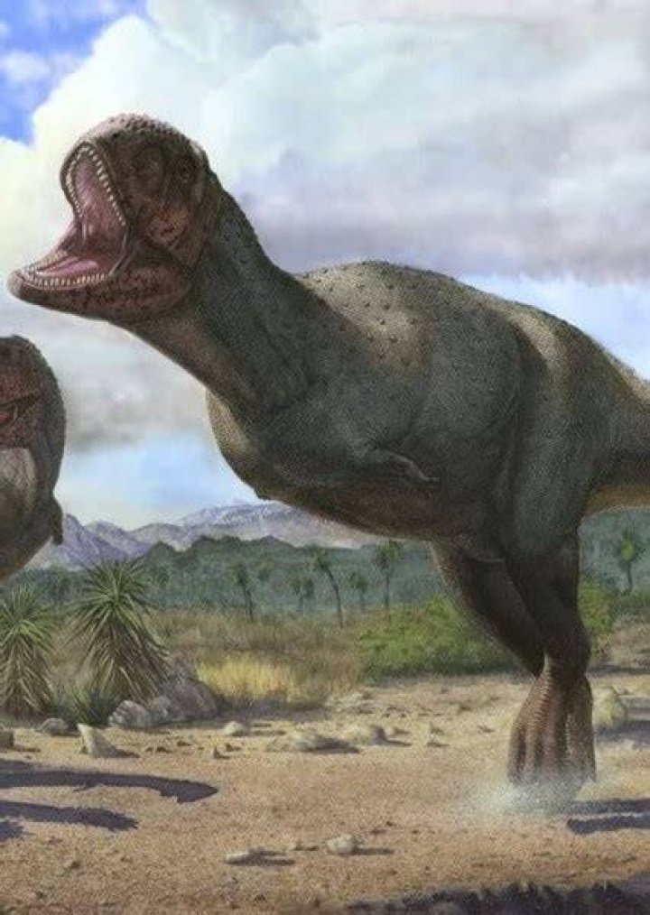 Pycnonemosaurus Fan Casting