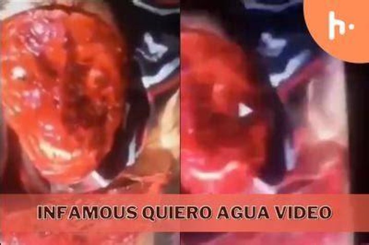 Quiero Agua Full Video: Everything You Need To Know
