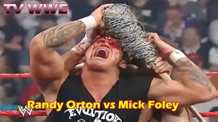 Randy Orton v Mick Foley Backlash 2004 Cropped