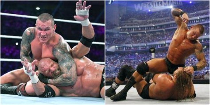 Randy Orton v Triple H The Bash 2009 Cropped