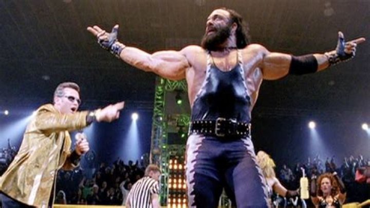 Randy Savage as The Spider
