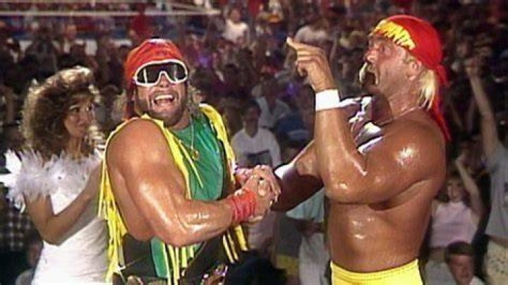 Randy Savage Hulk Hogan