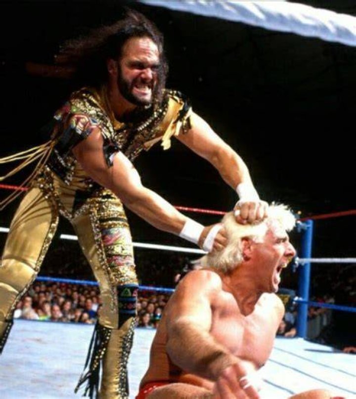 Randy Savage Vs Ric Flair WCW
