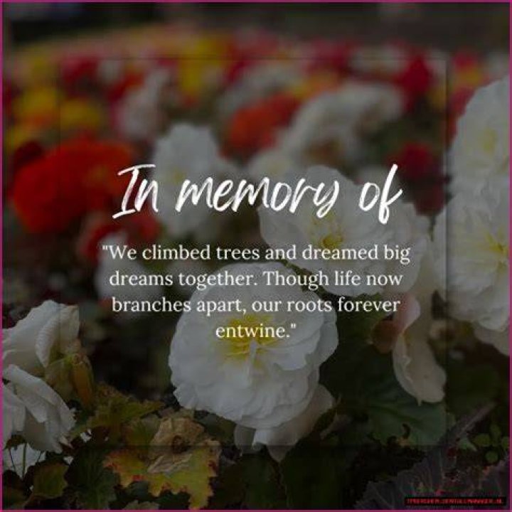 Rebecca Muir Obituary: Remembering A Life Well-Lived
