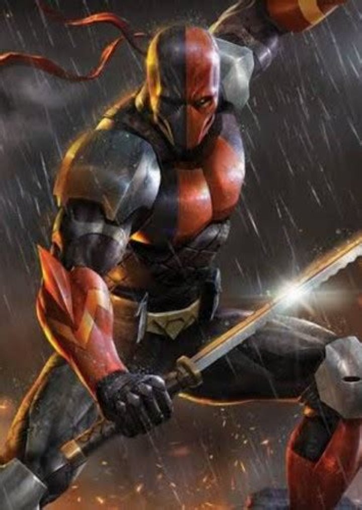 Red Lion Fan Casting for Deathstroke | myCast