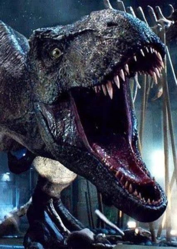 Rexy Fan Casting