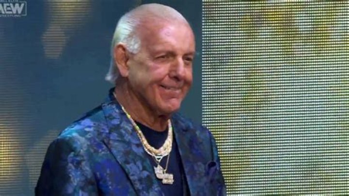 Ric Flair Makes AEW Debut As Special Gift For Sting