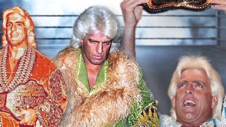 Ric Flair Real World Champion Cropped