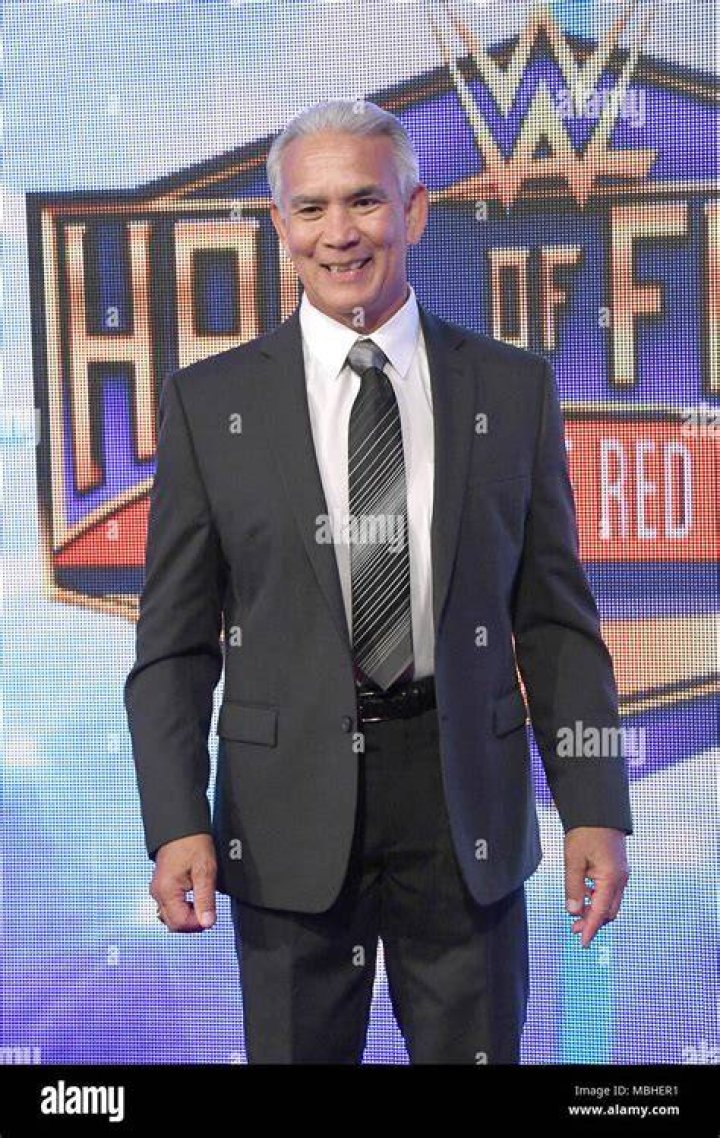 Ricky Steamboat Hall Of Fame