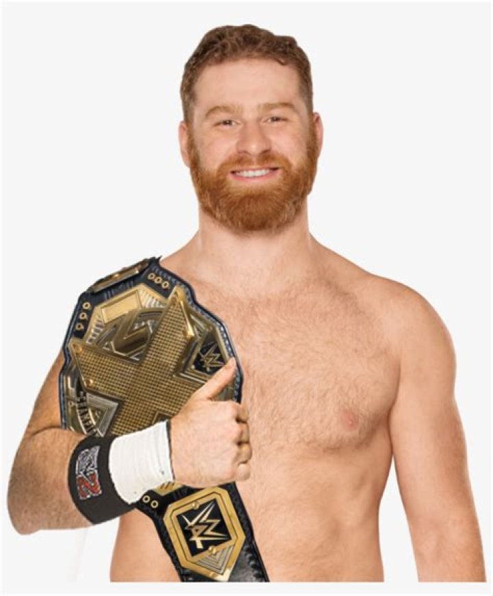 Sami Zayn NXT