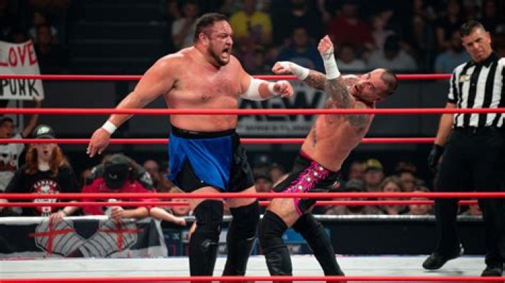 Samoa Joe and CM Punk shake hands 