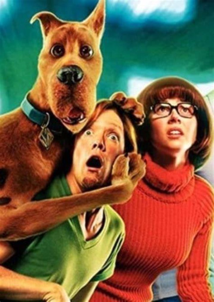 Scooby Doo 3 Fan Casting on myCast