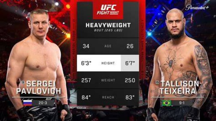 Sergei Pavlovich in UFC fight