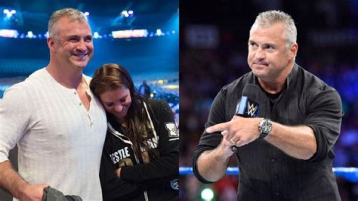 Shane McMahon on top of Hell in a Cell 