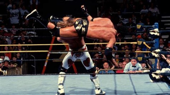 Shawn Michaels and Razor Ramon at SummerSlam 1995