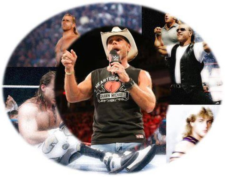 Shawn Michaels botched axe handle at Crown Jewel