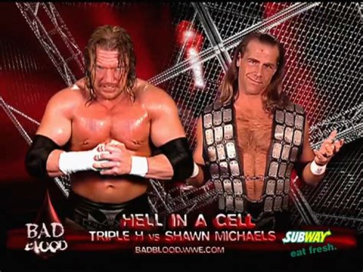 Shawn Michaels vs Triple H Armageddon 2002