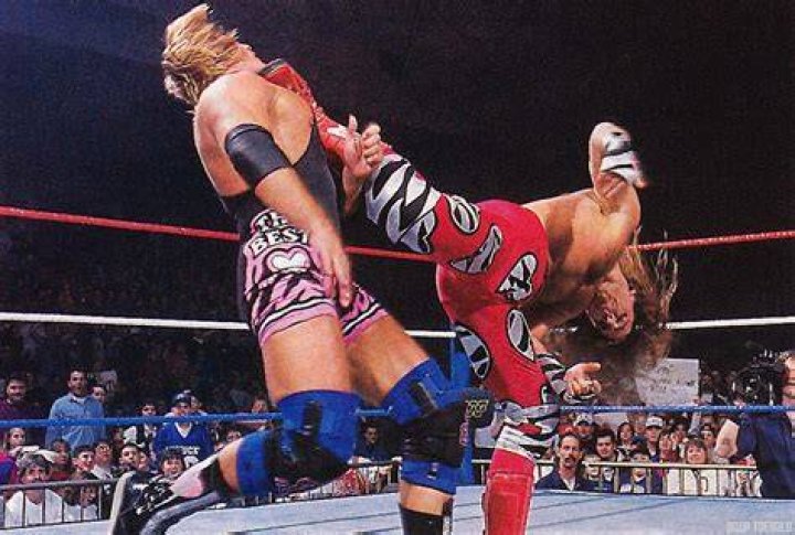 Shawn Michaels 