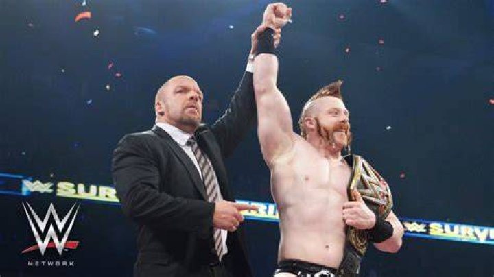 Sheamus Survivor Series 2015 WWE Champion Cropped